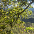 Discover the Best Walking Paths and Trails in Central Georgia