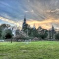 The Best Parks And Green Spaces To Explore In Central Georgia
