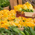 Exploring the Finest Farmers Markets in Central Georgia