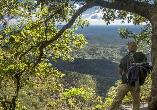 Discover the Best Walking Paths and Trails in Central Georgia